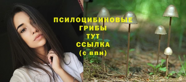 молекула духа Карпинск