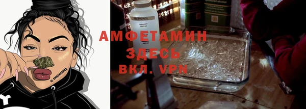 шишки Горно-Алтайск