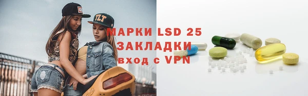 шишки Горно-Алтайск