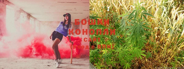 таблы Вяземский