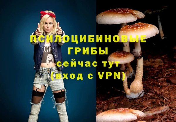 стафф Касимов