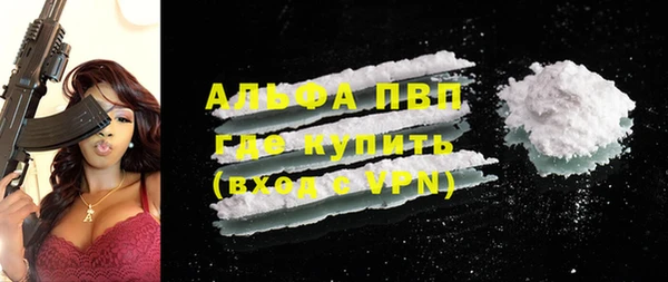 шишки Горно-Алтайск