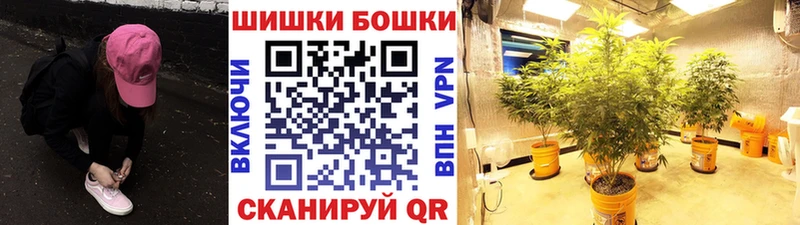 кракен как зайти  Дагестанские Огни  Каннабис тримм 